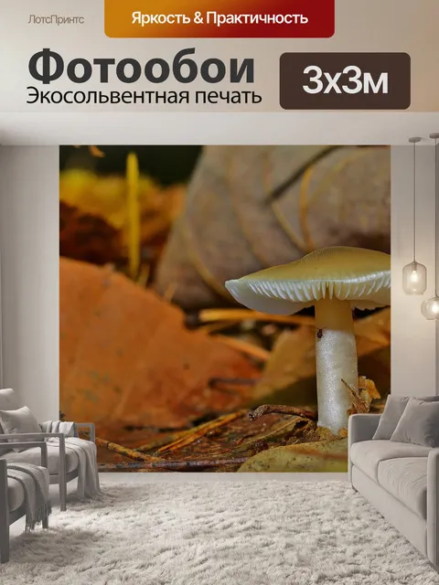 Фотообои Лес
