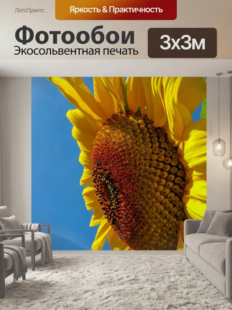 Фотообои Подсолнечное и голубое небо