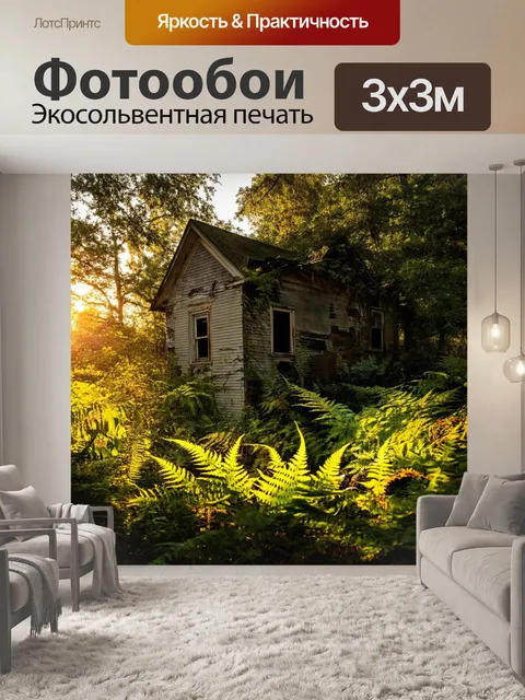 Фотообои с папоротниками вокруг старого заброшенного дома