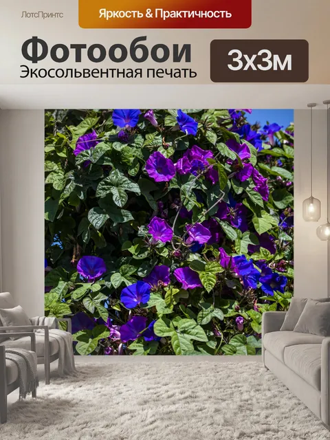 Фотообои фиолетовые и синие вьющиеся цветы