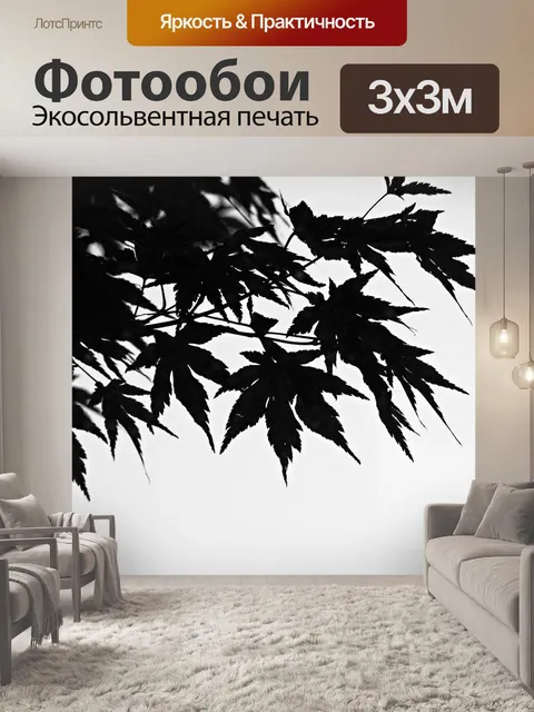 Фотообои Черное и белое
