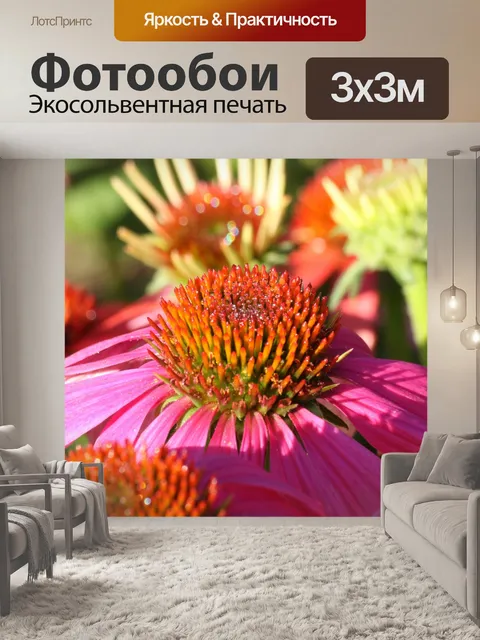 Фотообои Розовый Василек и Роса