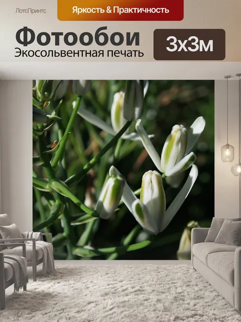 Фотообои белые цветы