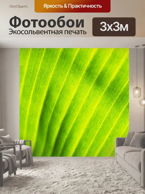 Фотообои Задний план