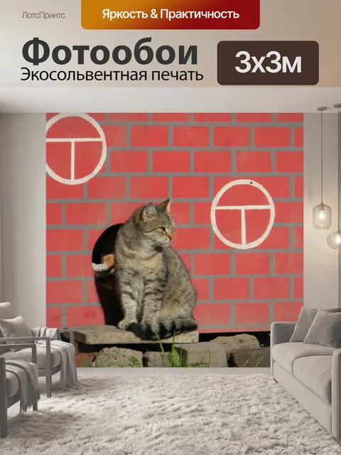 Фотообои кот на фоне красной стены