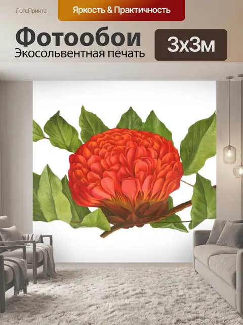 Фотообои Винтажная иллюстрация цветочного искусст