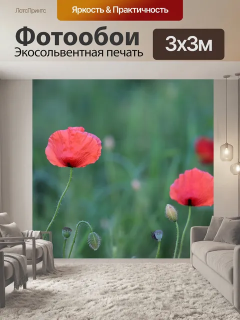Фотообои Красный букет маков