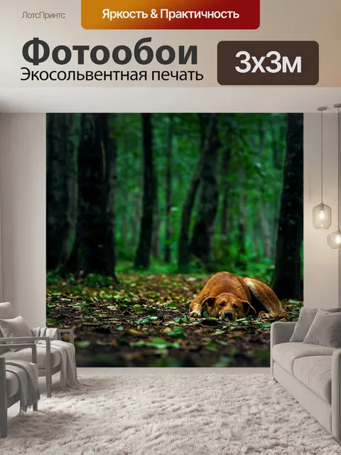 Фотообои Природа