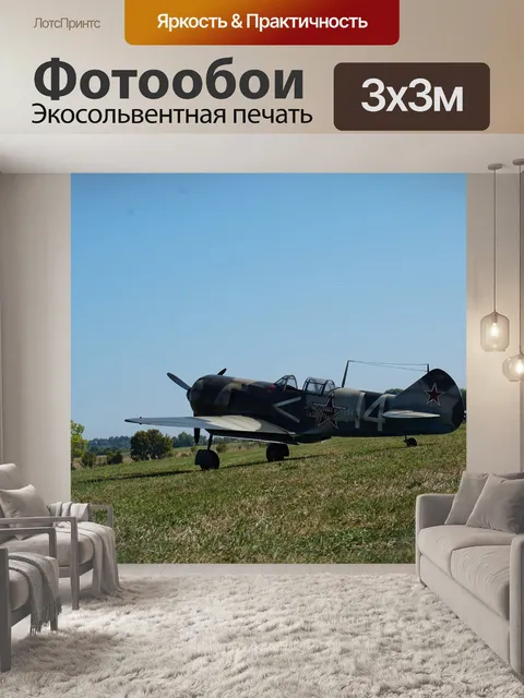 Фотообои Военная птица