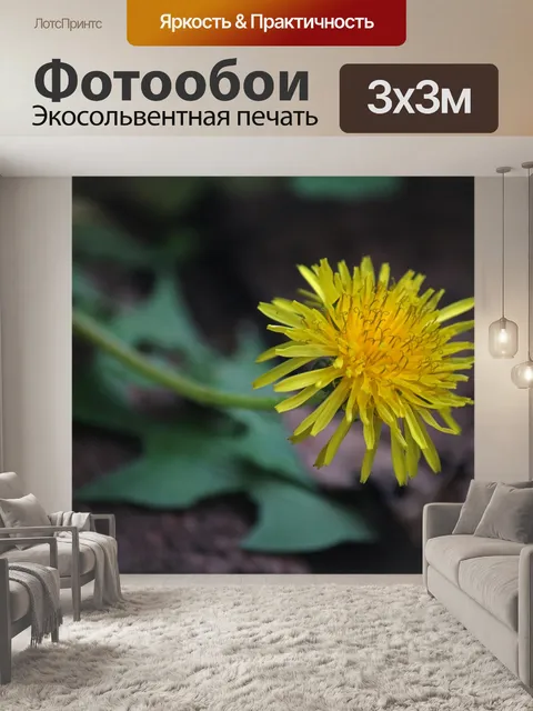 Фотообои желтый цветок одуванчика в саду