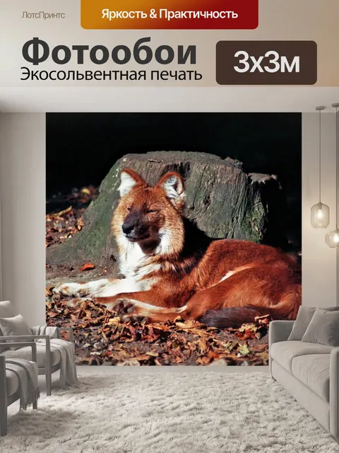 Фотообои Лиса