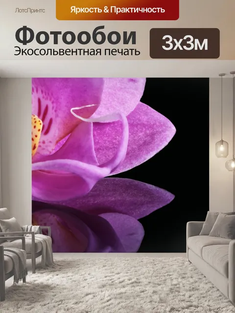 Фотообои Орхидея