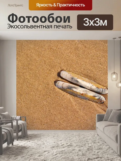 Фотообои Морская ракушка