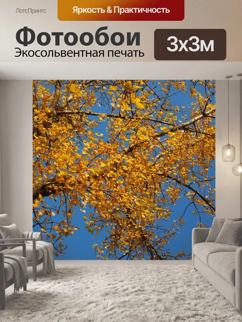 Фотообои Черный тополь
