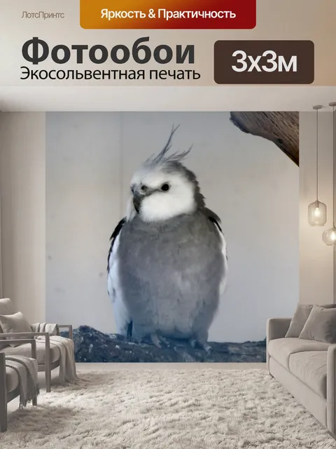 Фотообои Отрасль серая птица на дереве