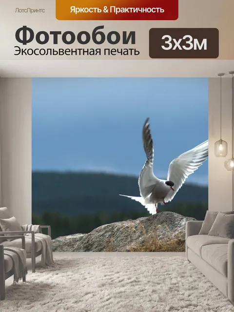 Фотообои Птица