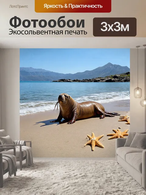 Фотообои на полоске пляжа, омываемом тихими волнами, морж, расслабляясь, нежится на солнце