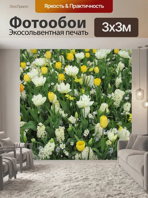 Фотообои Тюльпаны