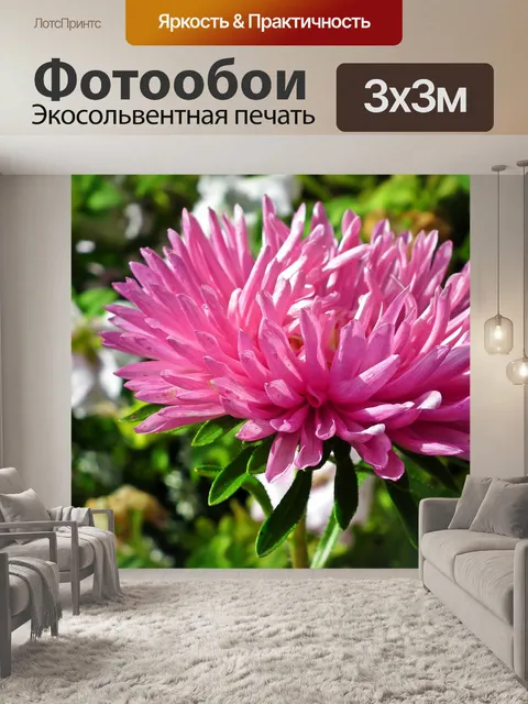 Фотообои Астра