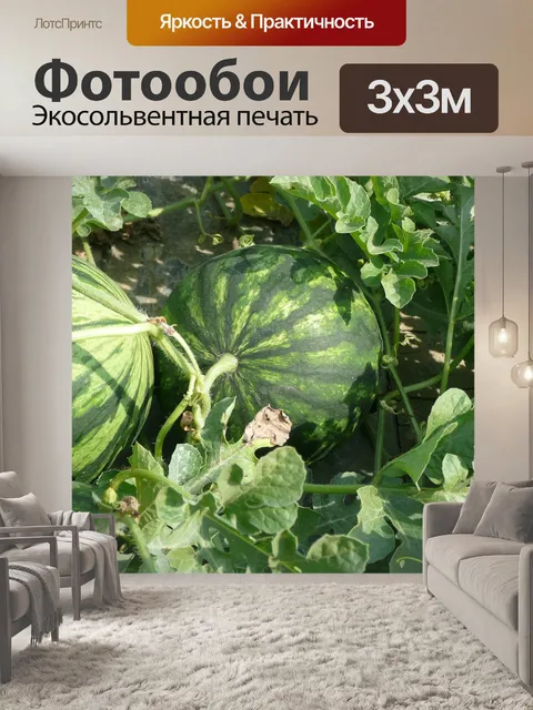 Фотообои Арбуз
