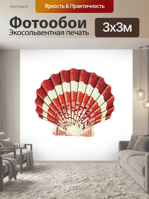 Фотообои Ракушка старинное искусство старый