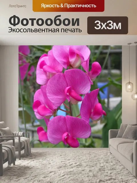 Фотообои Вика