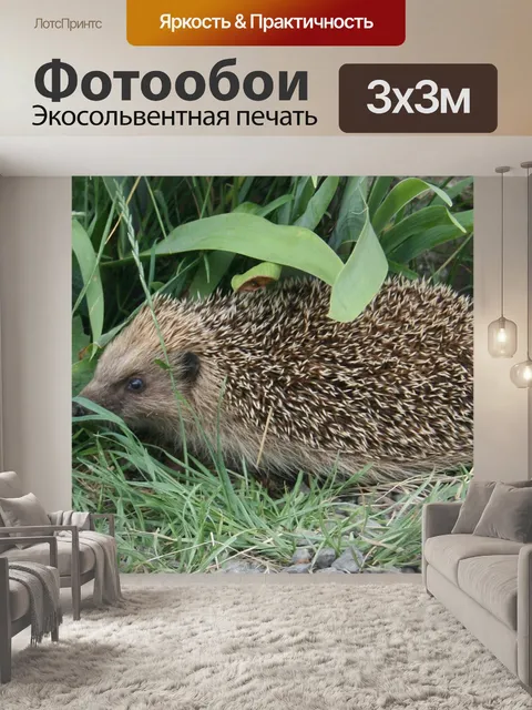 Фотообои Природа