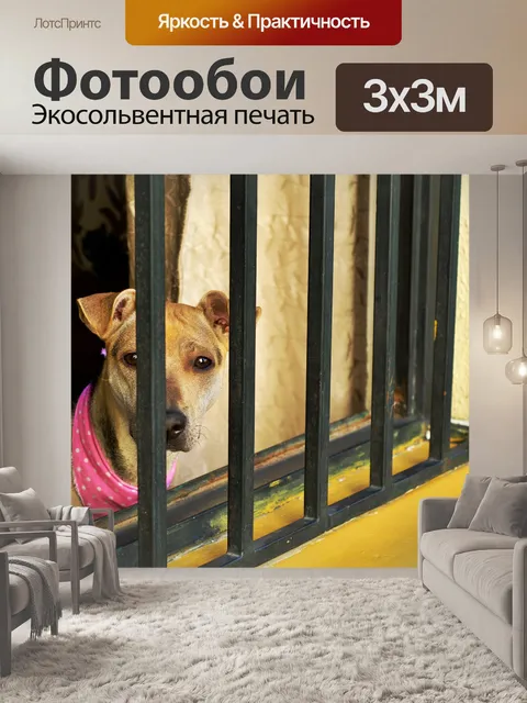 Фотообои Собака