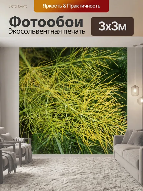 Фотообои пожелтение фенхеля