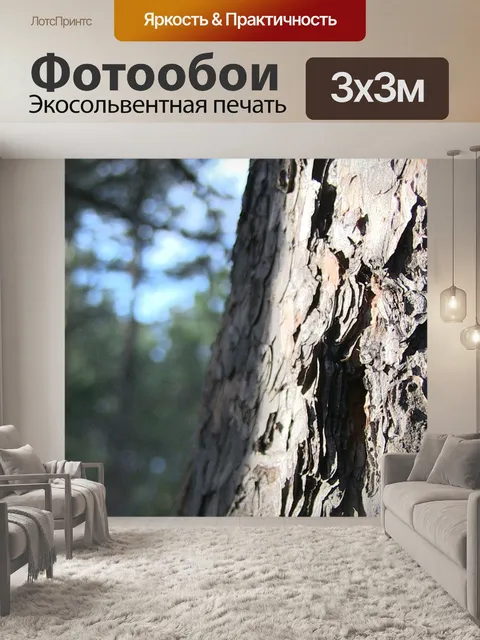 Фотообои Ствол