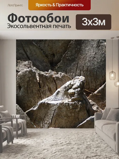 Фотообои Кора