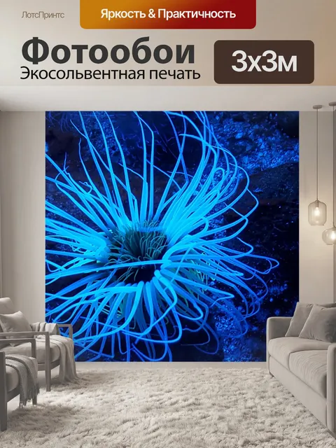 Фотообои Морской анемон