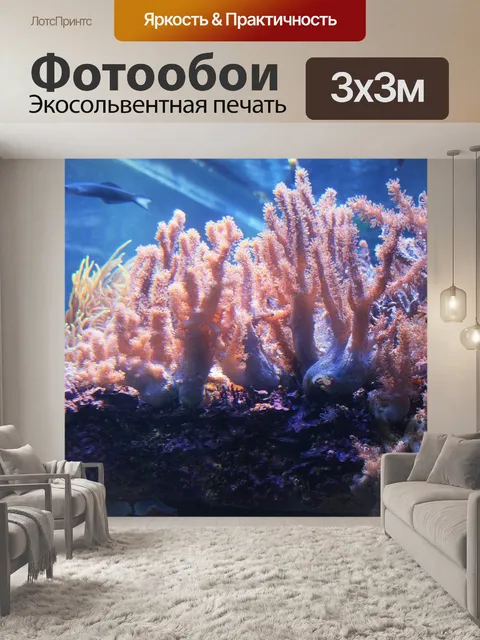 Фотообои живых кораллов в аквариуме
