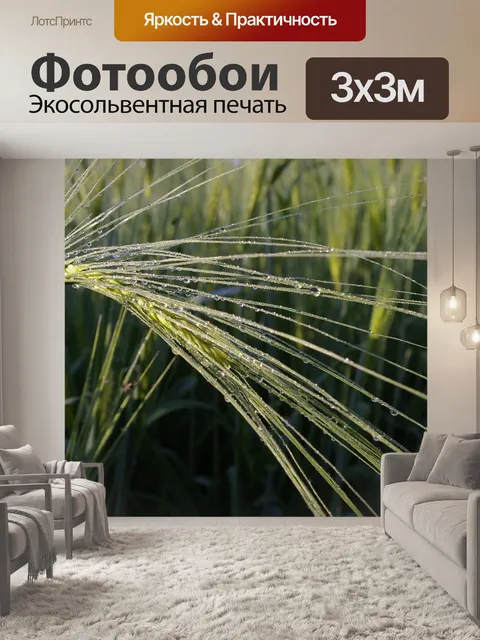 Фотообои Капля росы