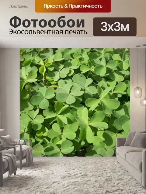 Фотообои Клевер