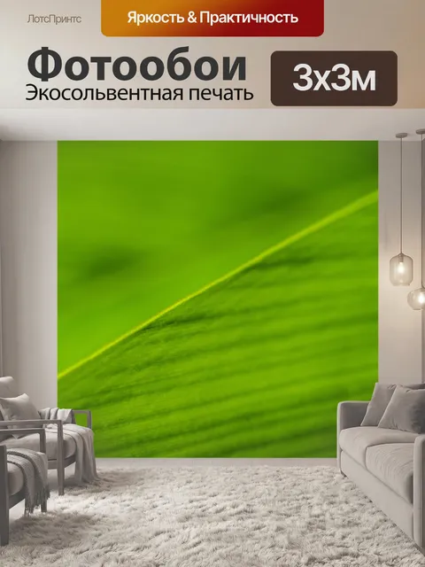 Фотообои Зеленый лист фон