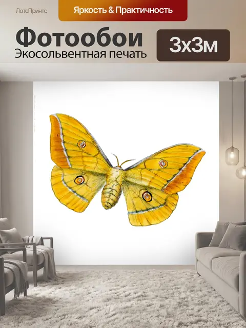 Фотообои Клипарт бабочка винтажное искусство