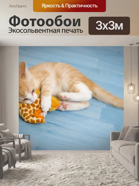 Фотообои Кот