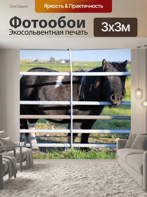 Фотообои Пони