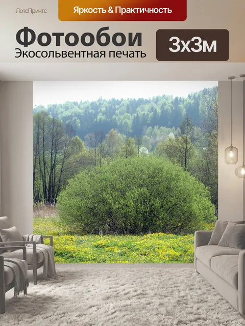 Фотообои Природа в Баварии