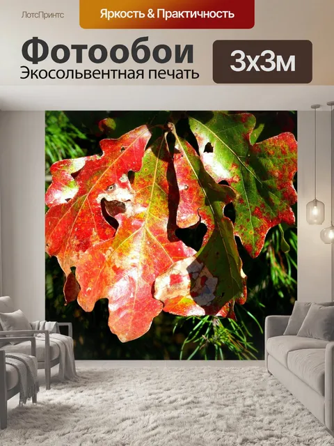 Фотообои Дубовые листья