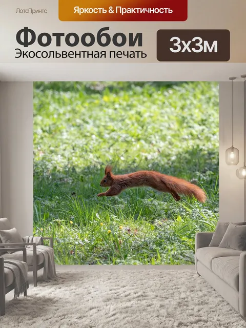 Фотообои Белка