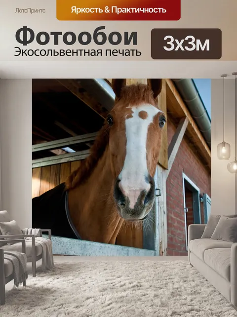 Фотообои Лошадь
