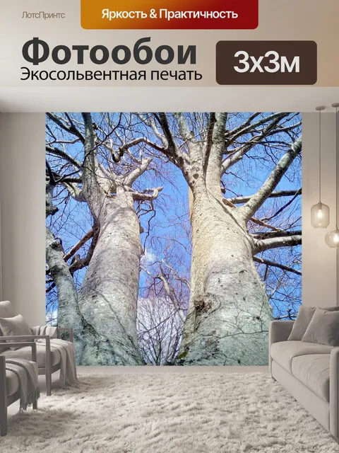 Фотообои Деревья