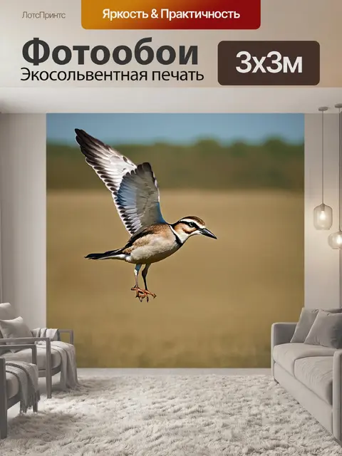 Фотообои птица в полете, захваченная в моменте, когда её перья сверкают на солнце, как драгметаллы