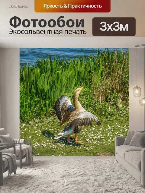 Фотообои Дом