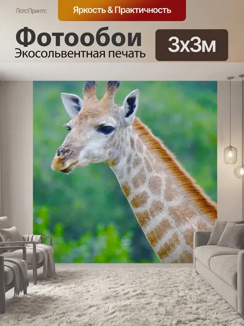 Фотообои Жирафа