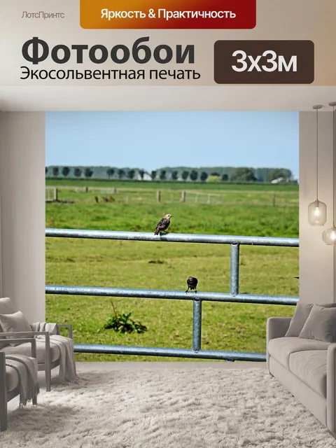 Фотообои Птицы