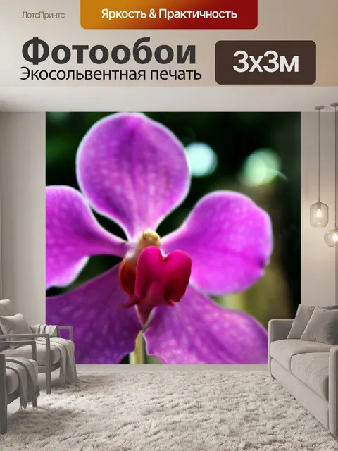 Фотообои Фиолетовая орхидея