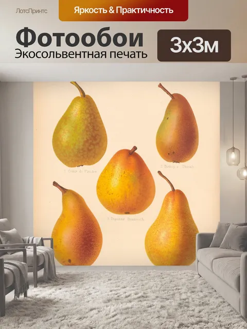 Фотообои Груши фрукты винтажные